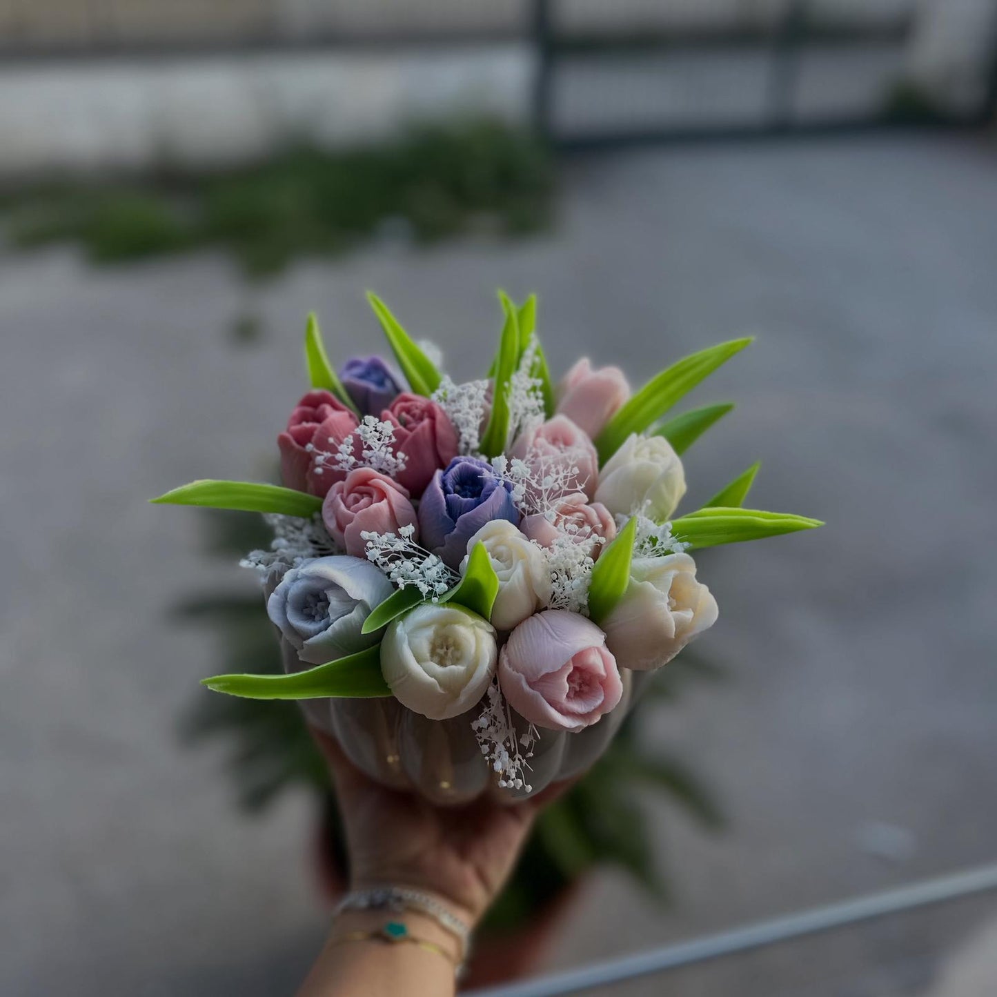 Tulipani Soia Chic