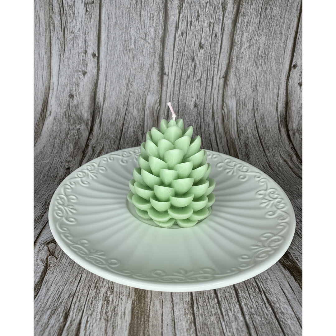 Pigna di Natale 🎄