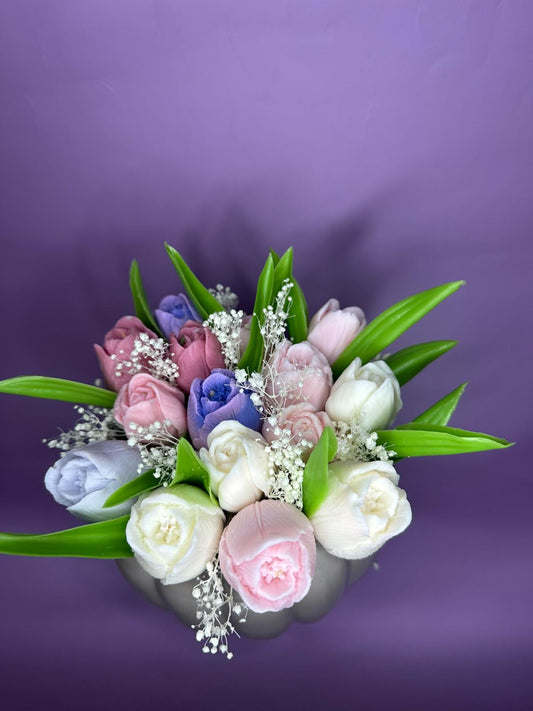 Tulipani Soia Chic