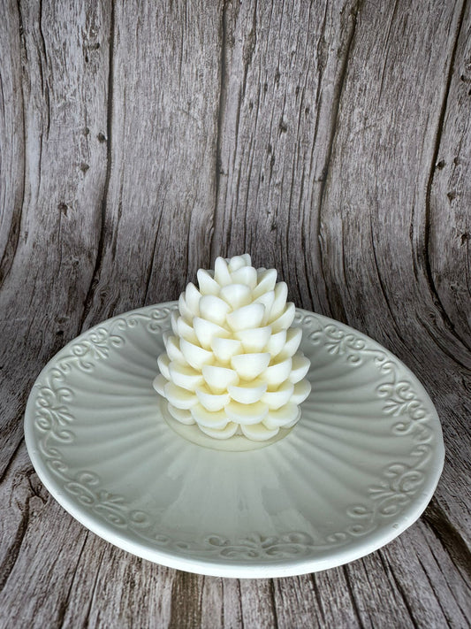 Pigna di Natale 🎄