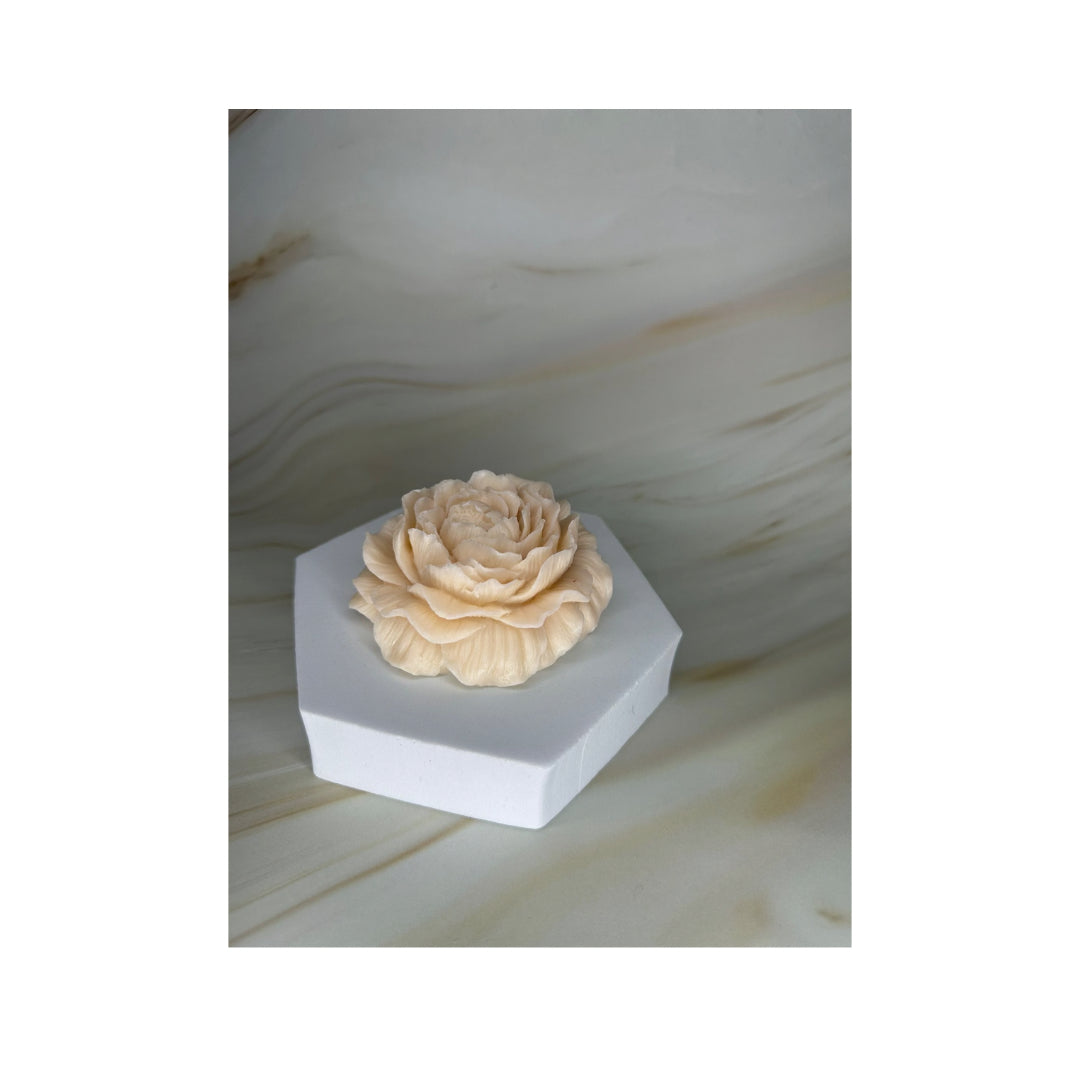 Peonia Glow