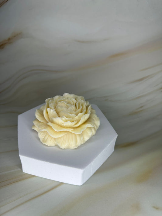 Peonia Glow
