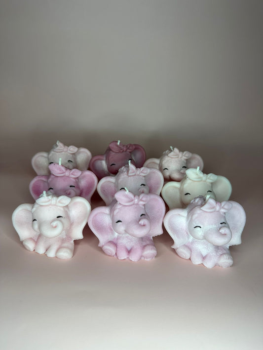Elefante Fortunato