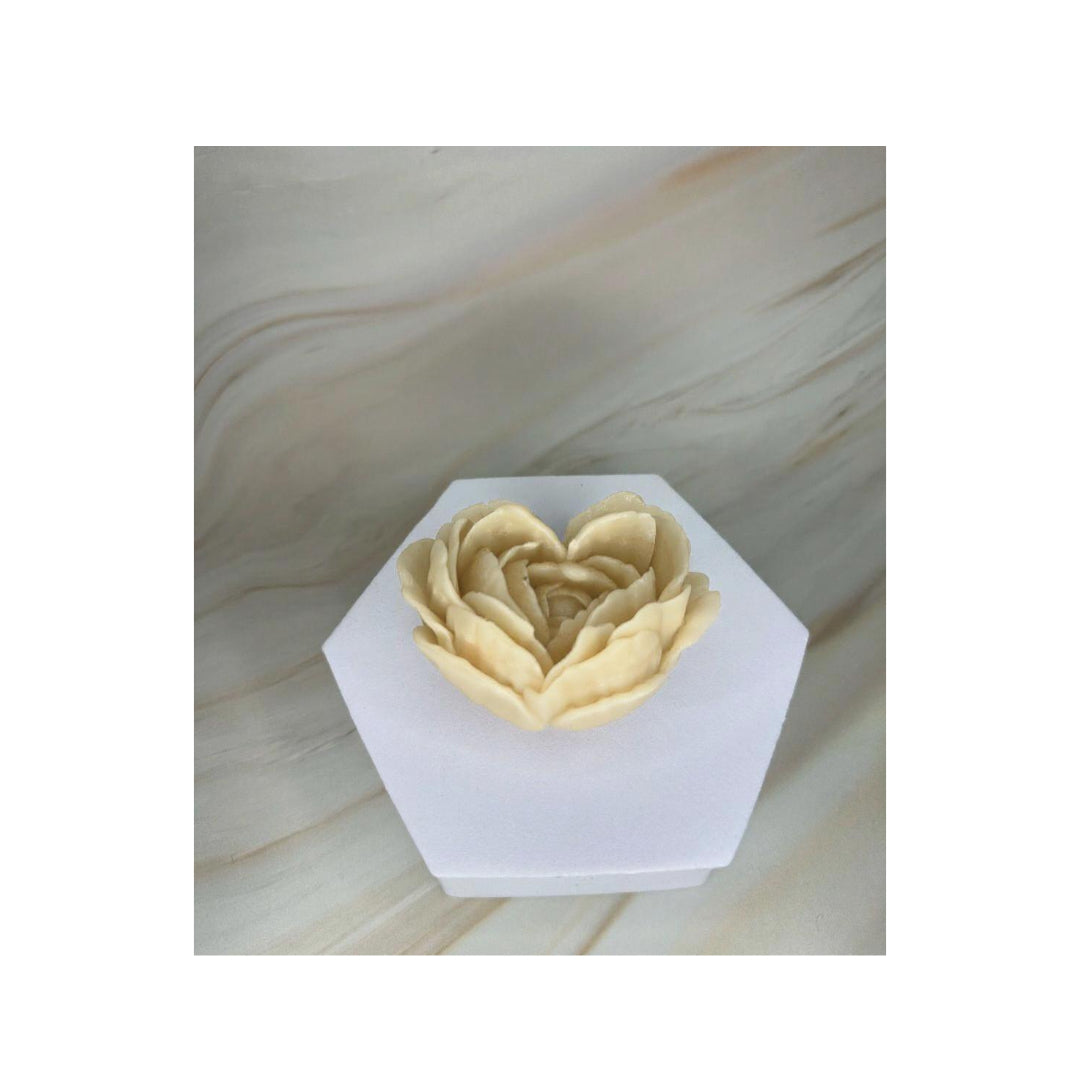 Peonia Cuore D'amore