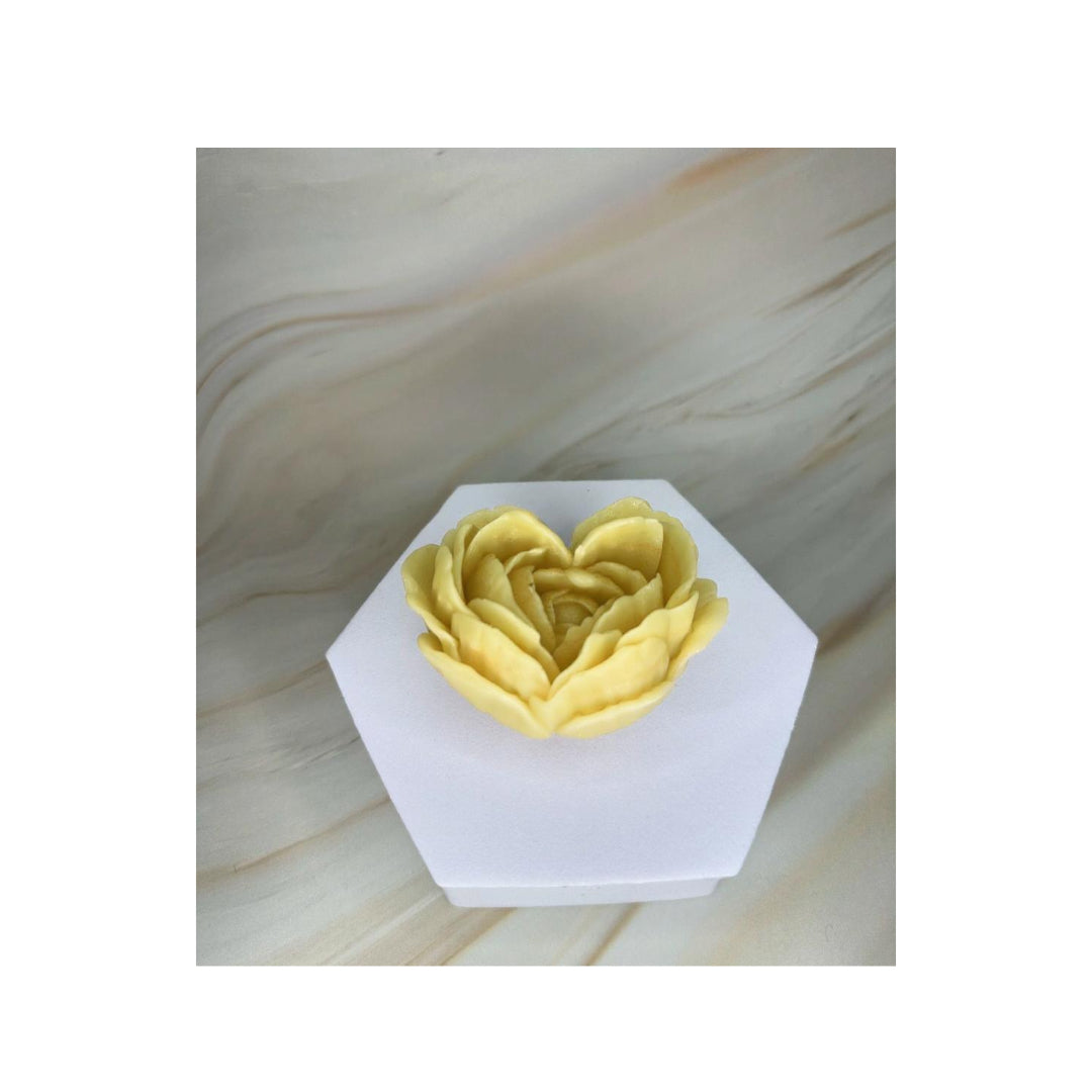 Peonia Cuore D'amore