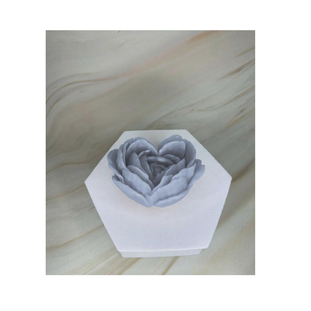 Peonia Cuore D'amore