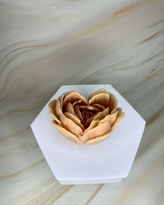 Peonia Cuore D'amore